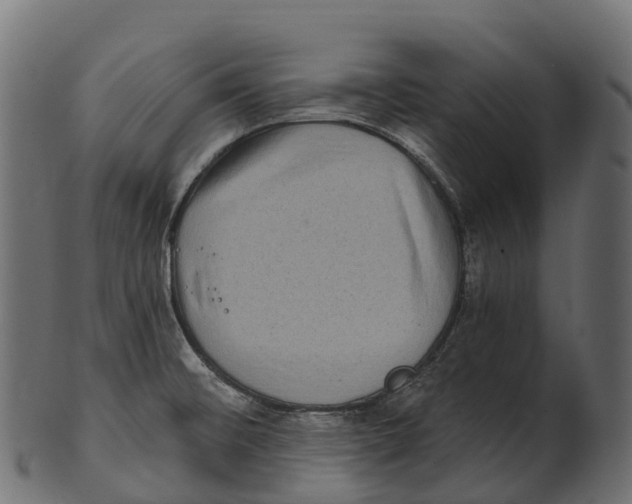 X0000100501476200807031928