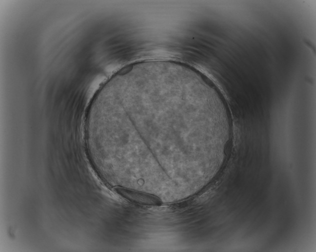 X0000100501477200807031928