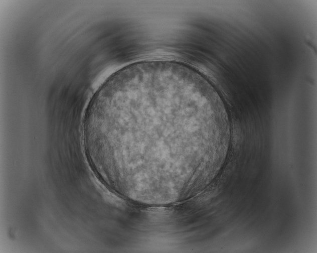 X0000100501478200807031928