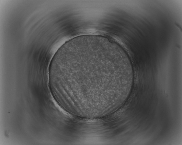 X0000100501479200807031928