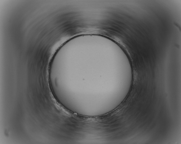 X0000100501480200807031928