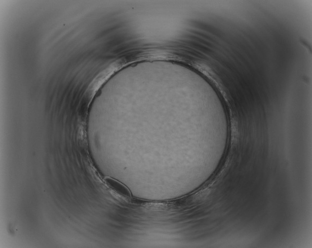 X0000100501481200807031928