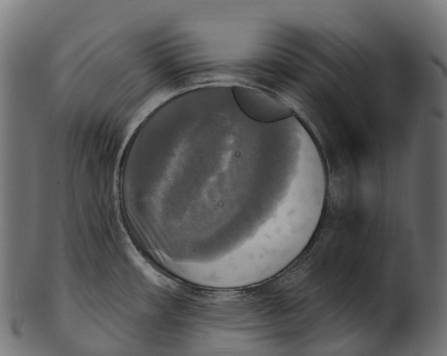 X0000100501482200807031928