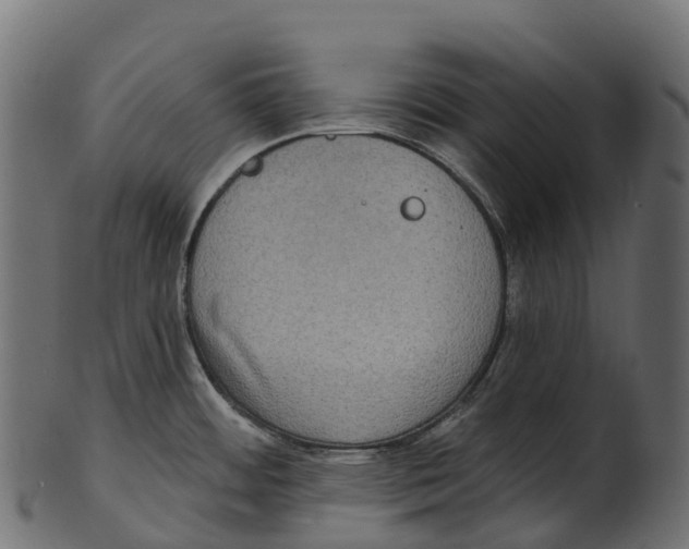 X0000100501484200807031928