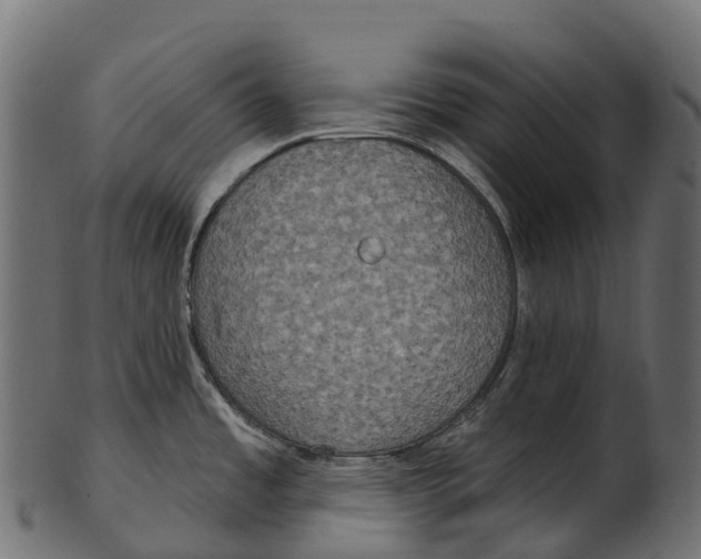 X0000100501485200807031928