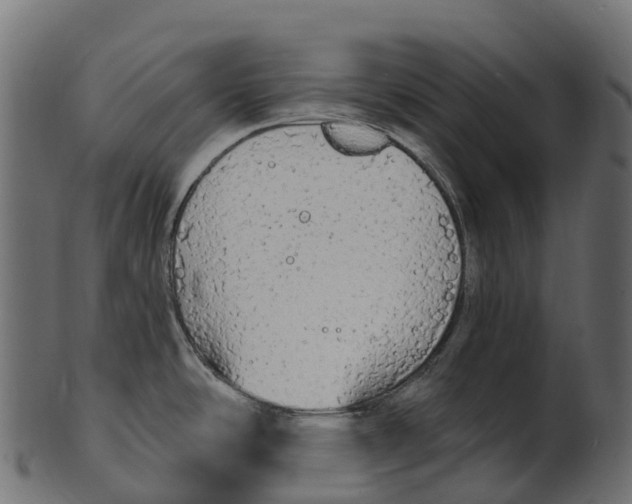 X0000100501486200807031928