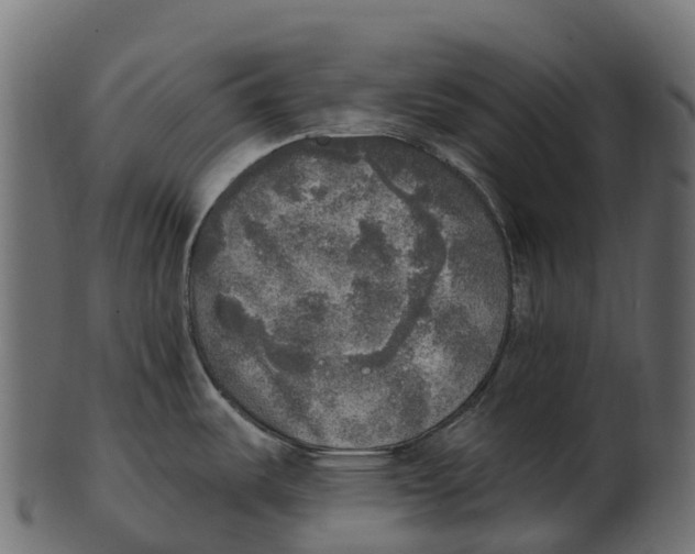 X0000100501487200807031928