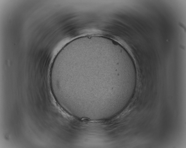 X0000100501488200807031928