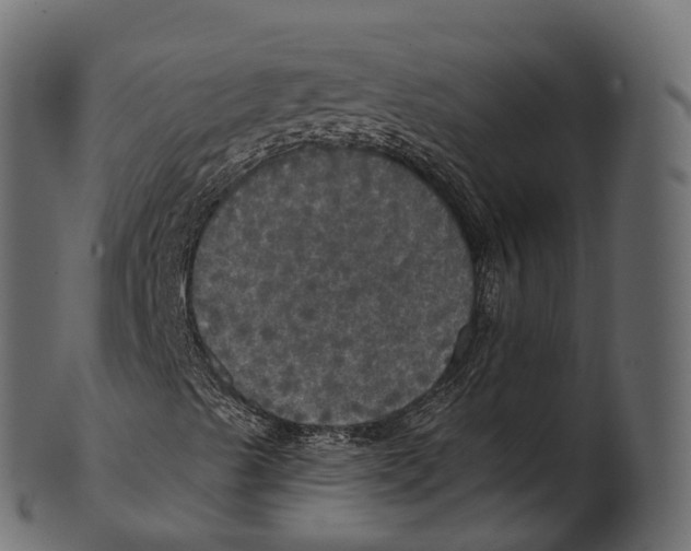 X0000100501489200807031927