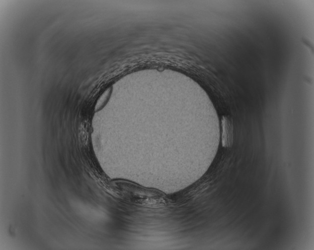 X0000100501491200807031927