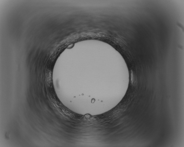 X0000100501492200807031927