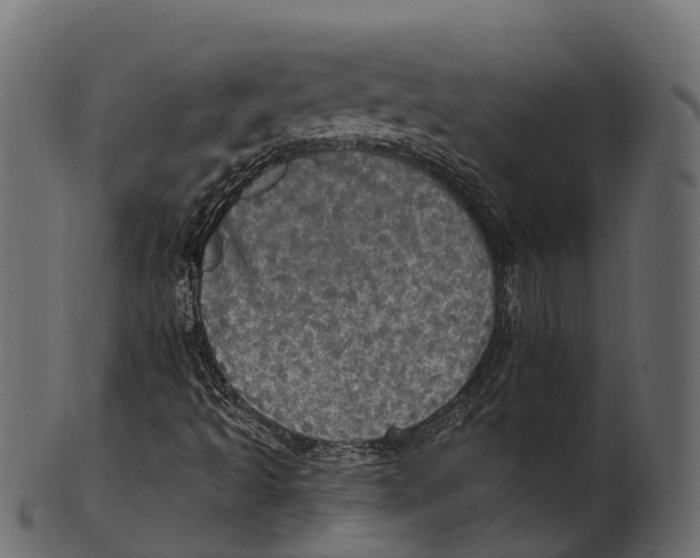 X0000100501493200807031927