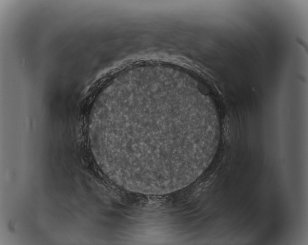 X0000100501494200807031927