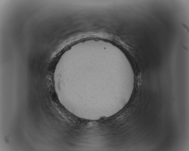 X0000100501496200807031927