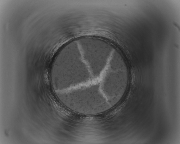 X0000100501497200807031928