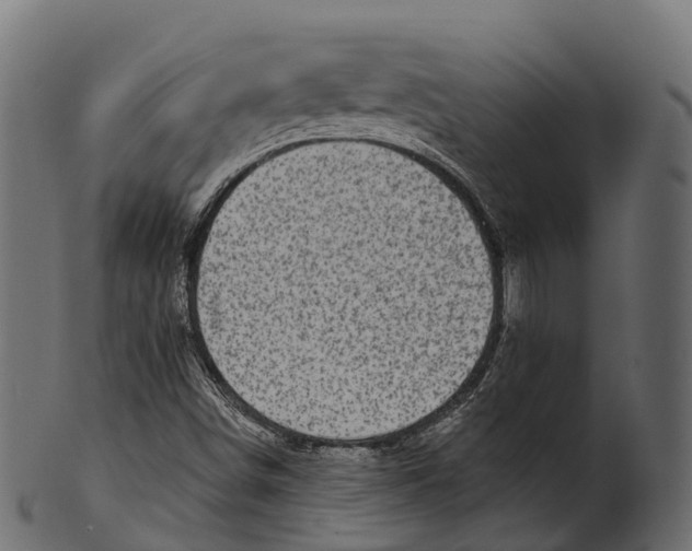 X0000100501498200807031928