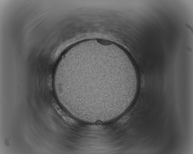 X0000100501499200807031928