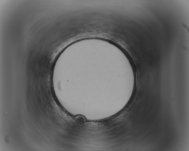 X0000100501500200807031928