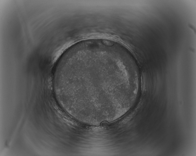 X0000100501501200807031928