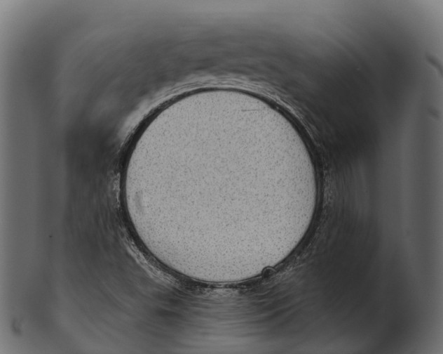 X0000100501503200807031928