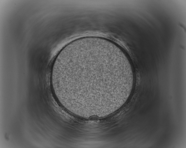 X0000100501504200807031928