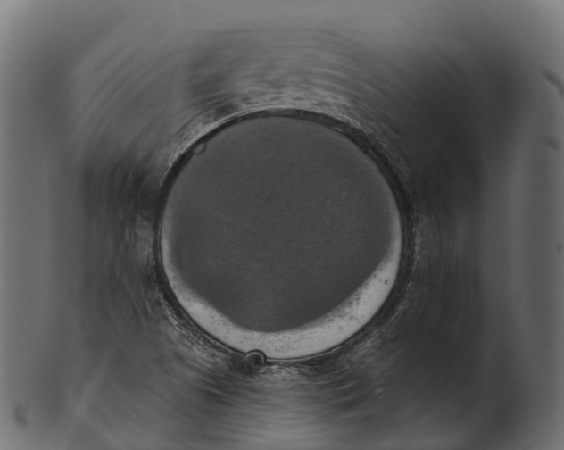 X0000100501505200807031928