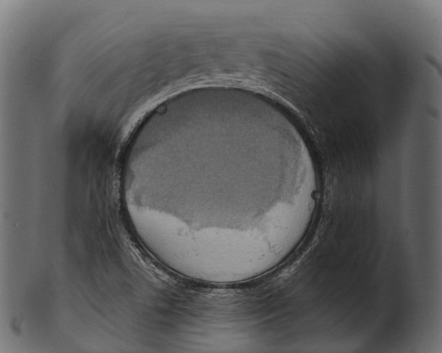 X0000100501506200807031928