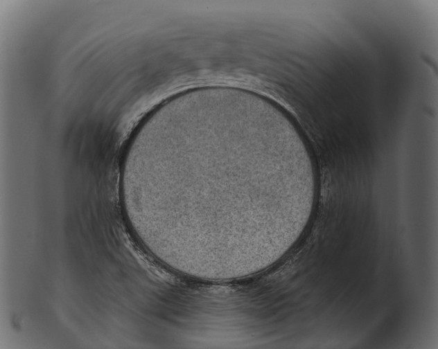 X0000100501507200807031928