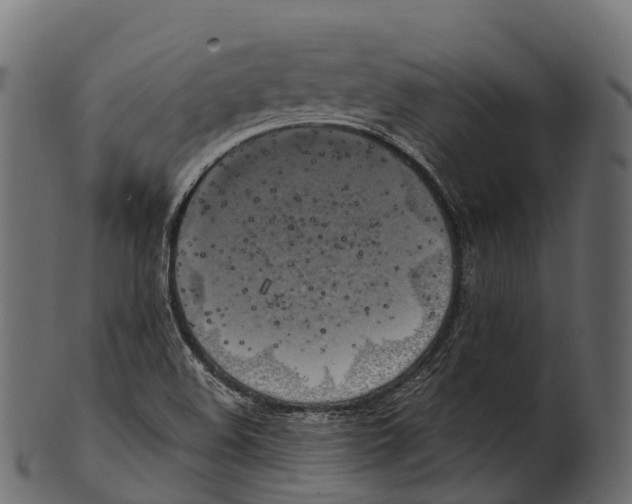 X0000100501508200807031928