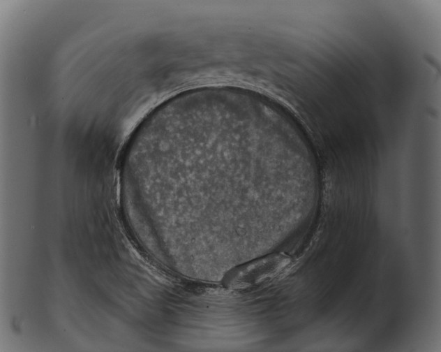 X0000100501509200807031928