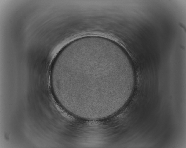 X0000100501511200807031928