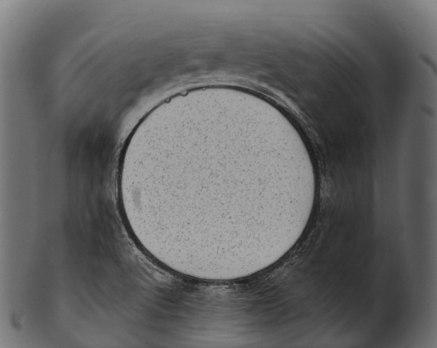 X0000100501512200807031928