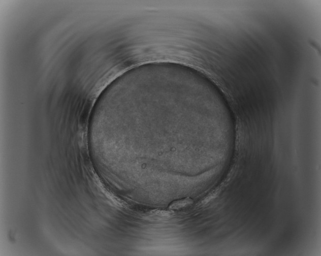 X0000100501513200807031928