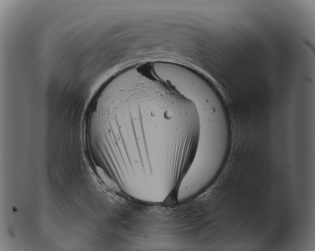 X0000100501514200807031928