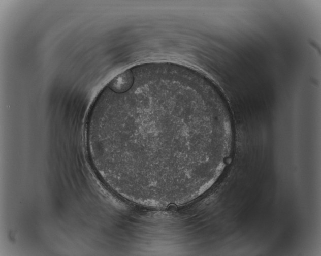 X0000100501517200807031928