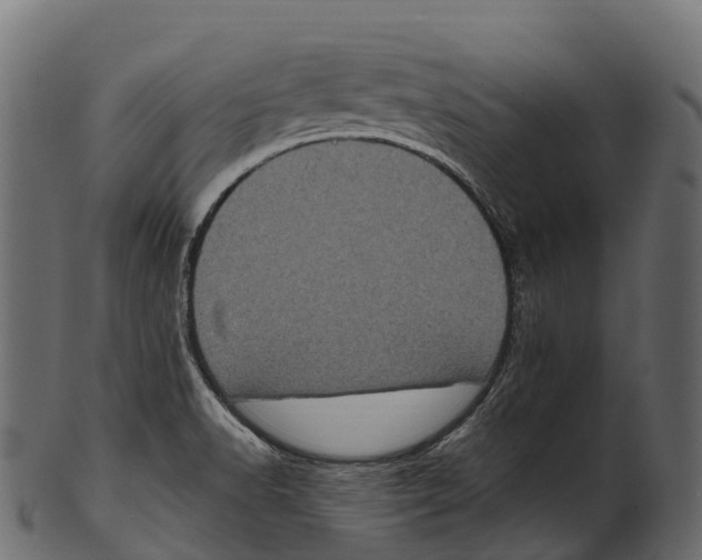 X0000100501518200807031928