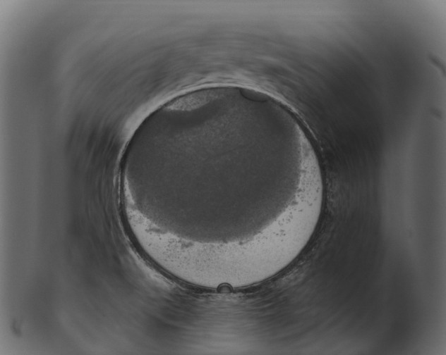 X0000100501519200807031928