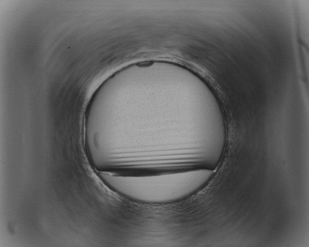 X0000100501520200807031928