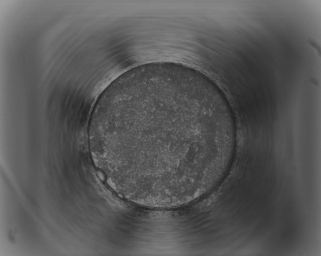 X0000100501521200807031928