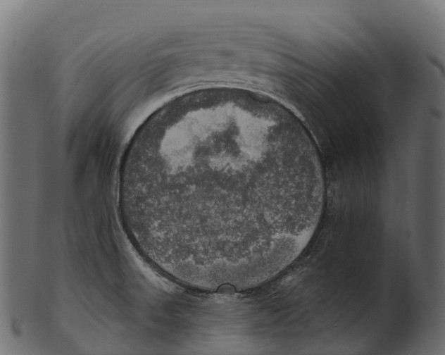 X0000100501523200807031928