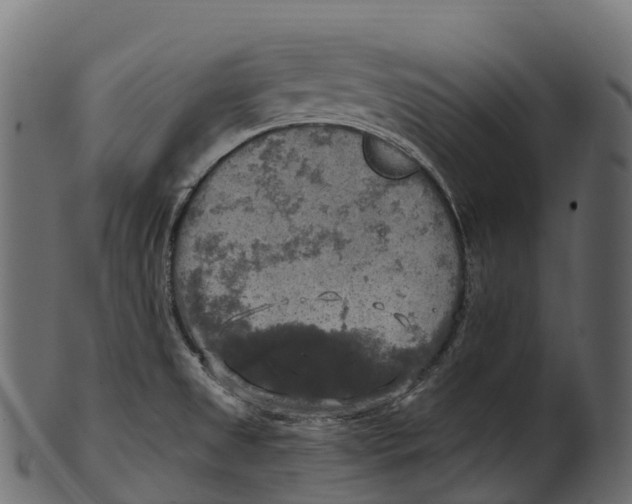 X0000100501525200807031928