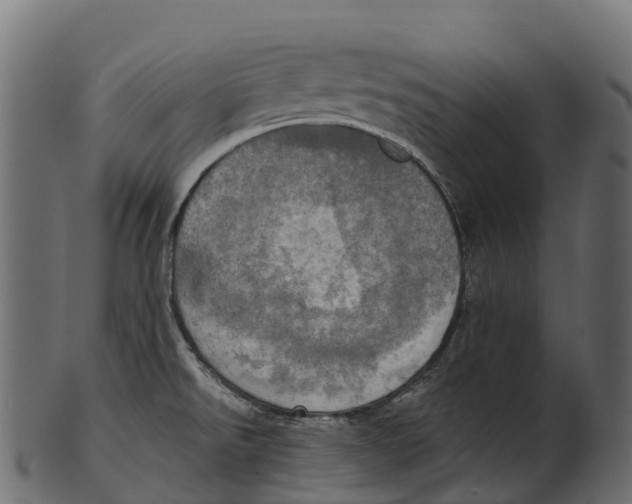 X0000100501526200807031928