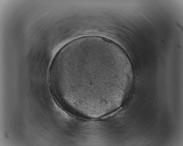 X0000100501527200807031928