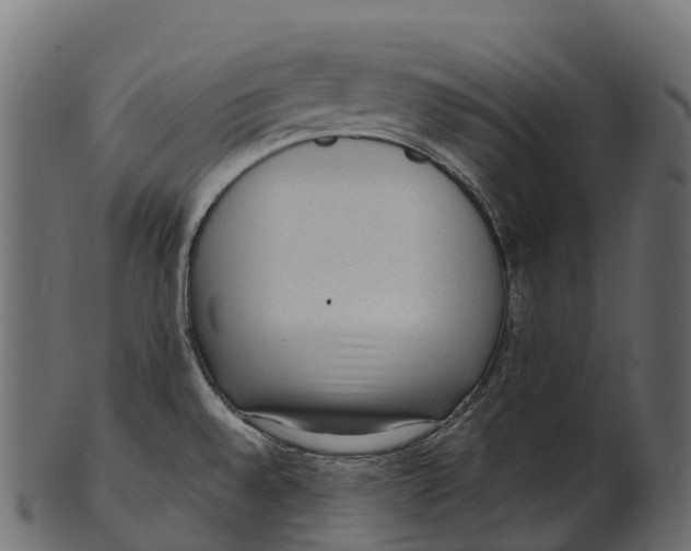 X0000100501528200807031928