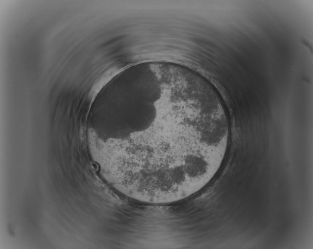 X0000100501529200807031928