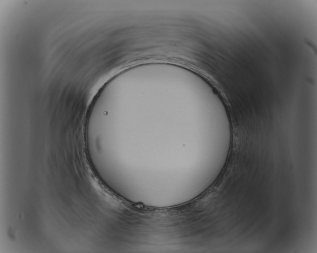 X0000100501530200807031928