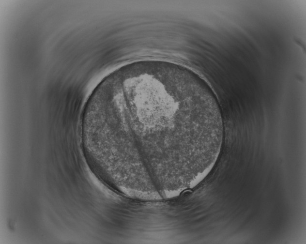 X0000100501531200807031928