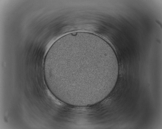 X0000100501532200807031928