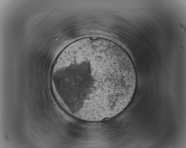 X0000100501533200807031928