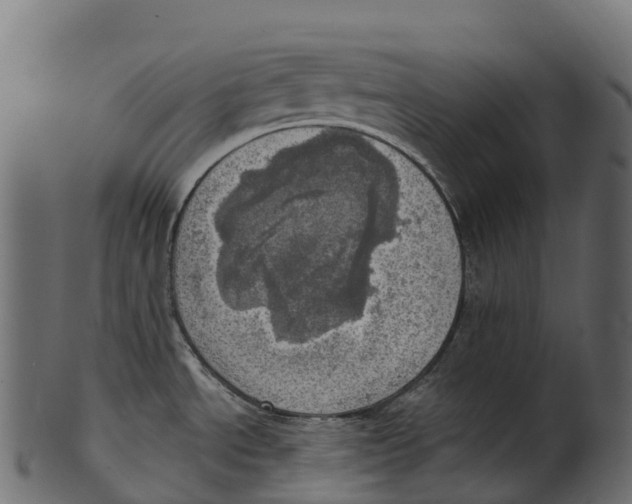 X0000100501534200807031928